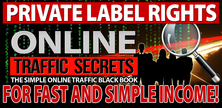 Online Traffic Secrets